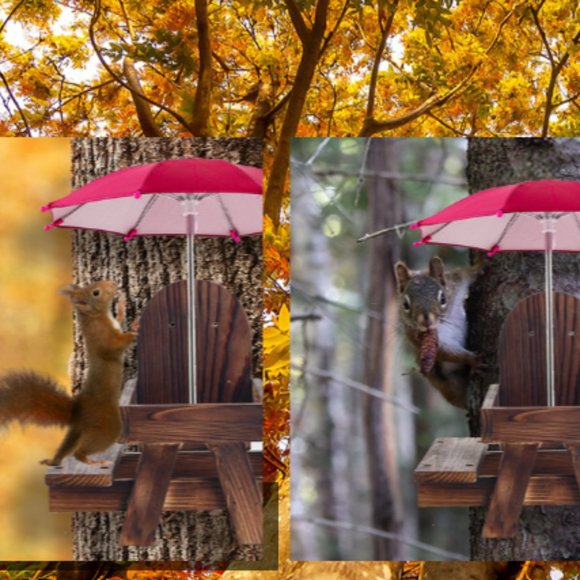 Squirrel & Chipmunk Miniature Wooden Picnic Table - Feeder w/ Removable Umbrella - Picture 9 of 10